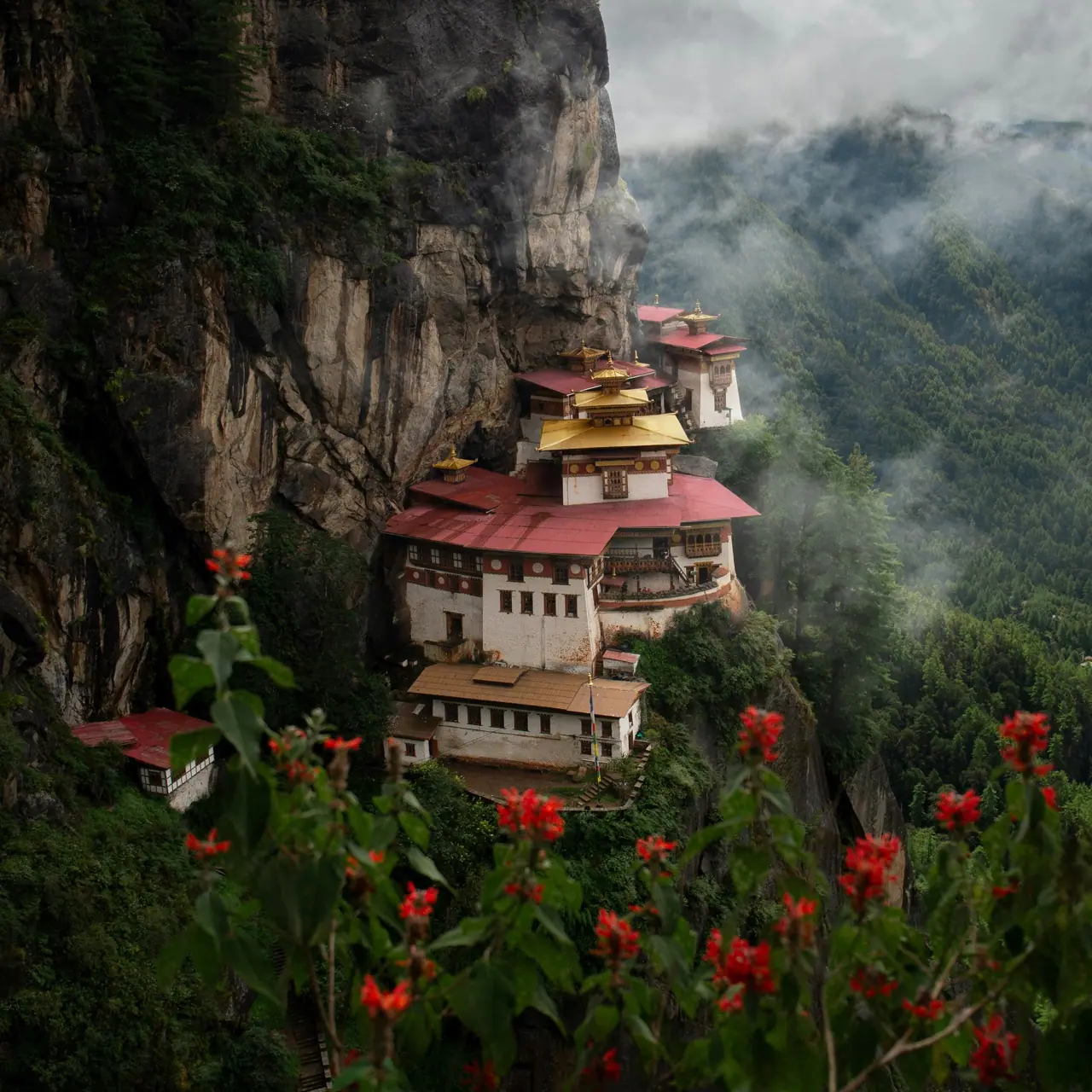 Bhutan, photograph 10