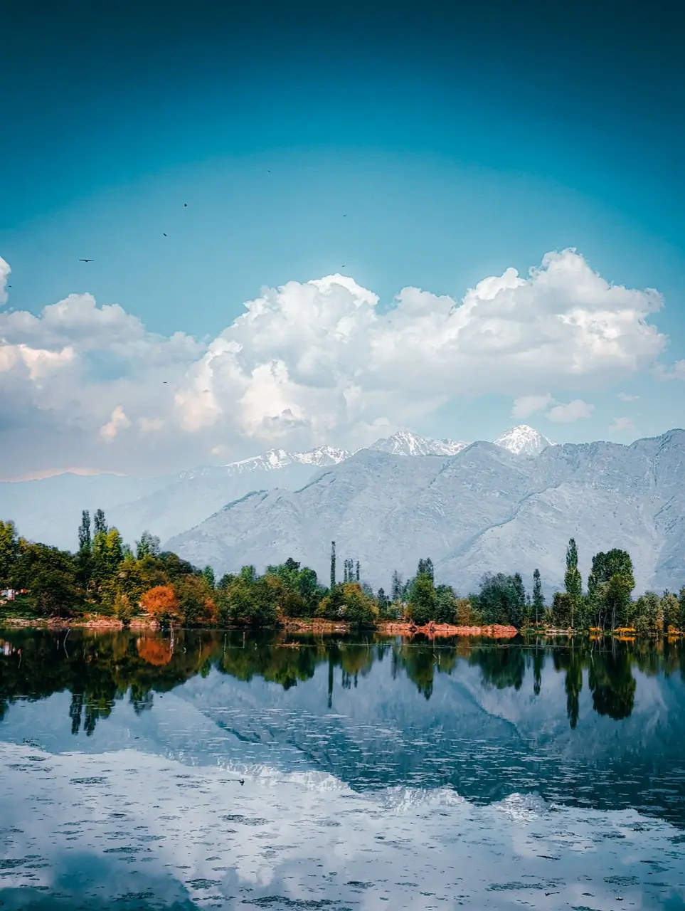 Kashmir, photograph 5