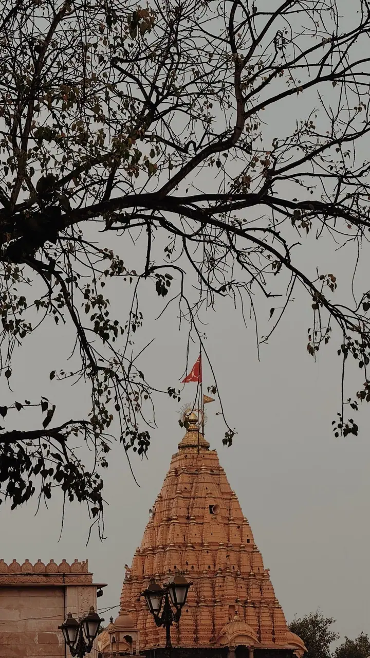 Madhya Pradesh, photograph 6