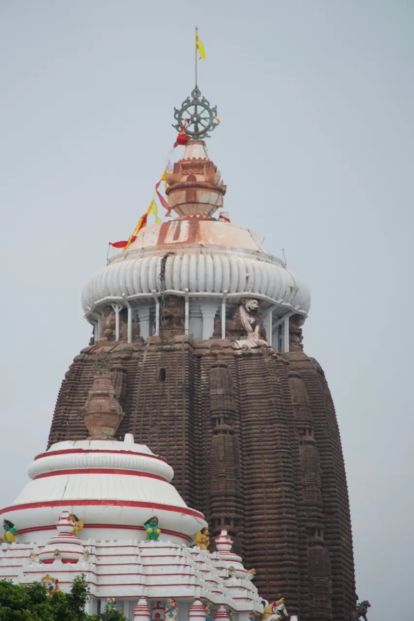 Odisha — photograph 3
