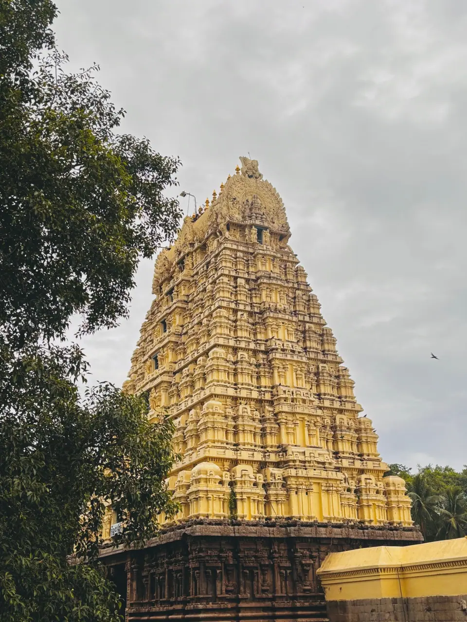 Tamil Nadu, photograph 8