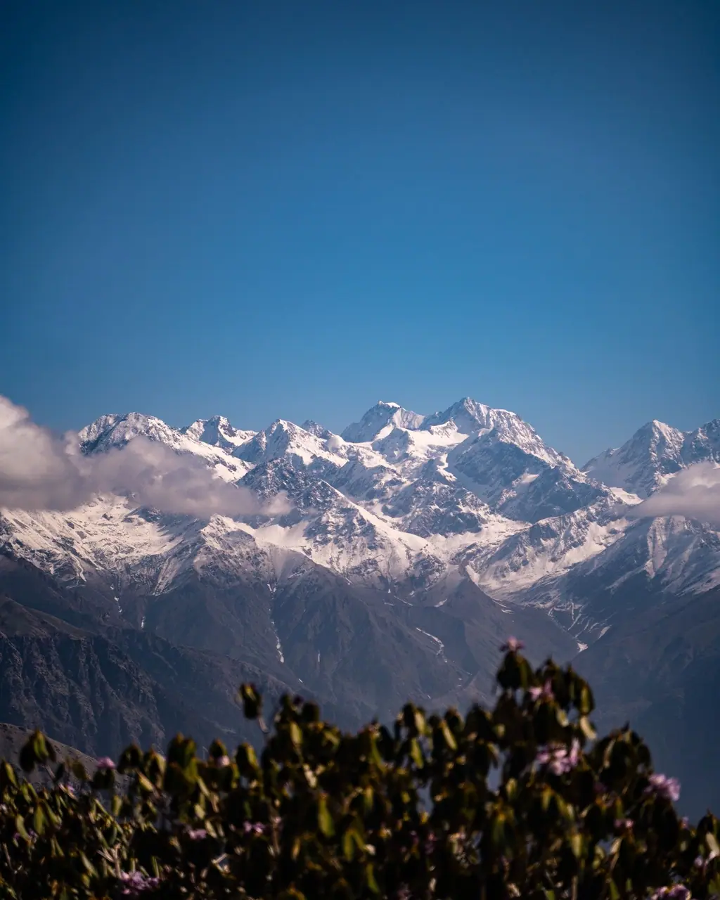 Kedarnath